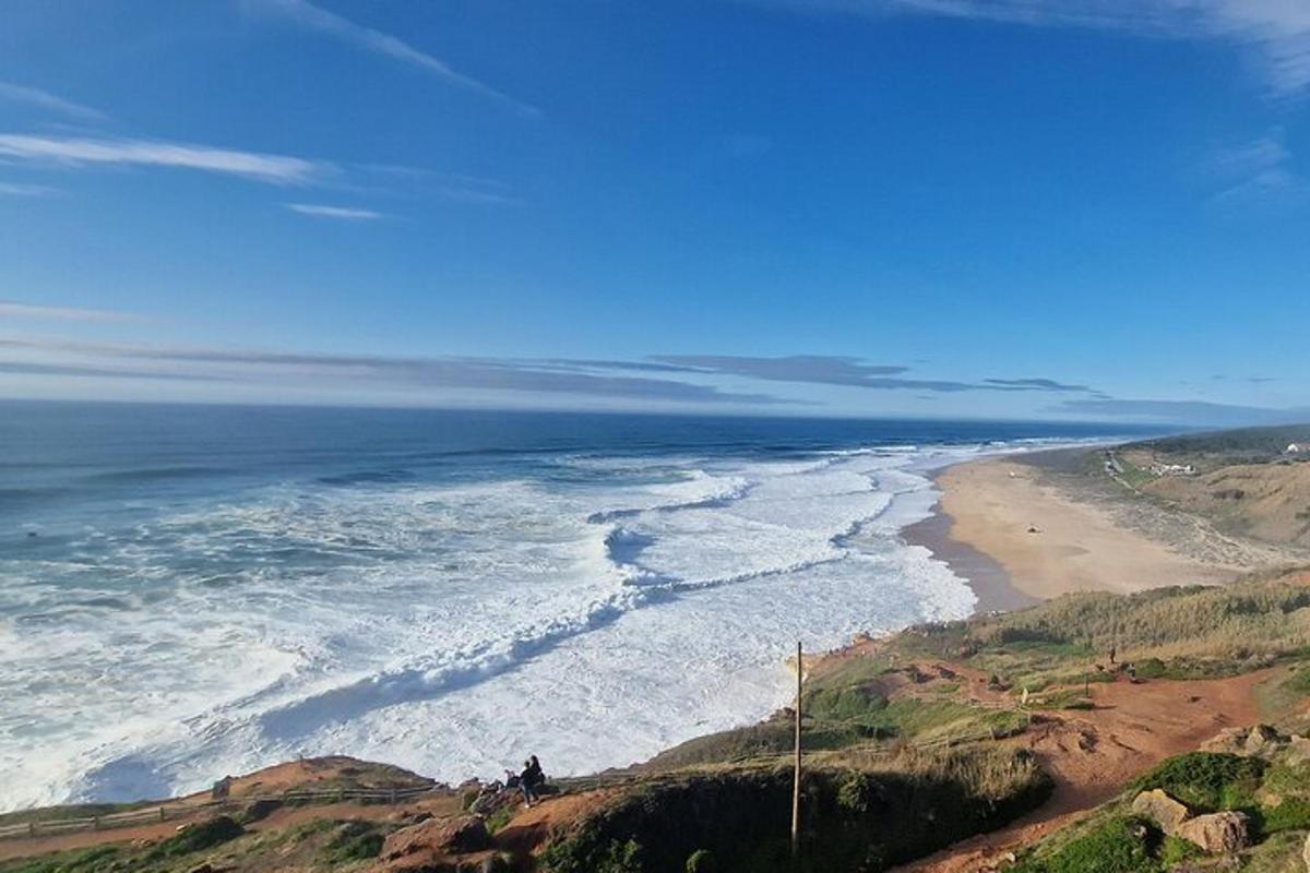 an aerial view of a beach and the ocean
