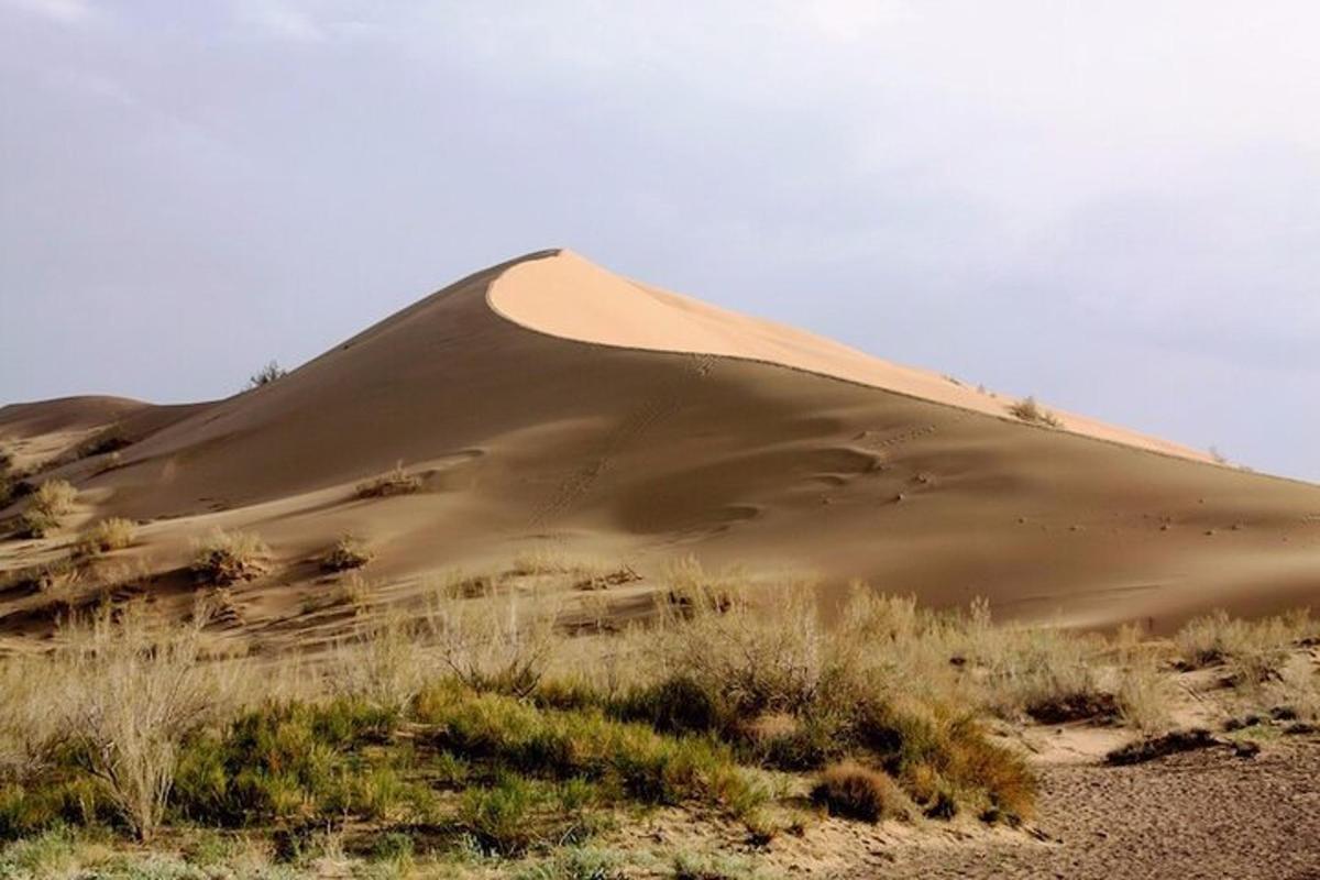 uma duna de areia no meio de um campo