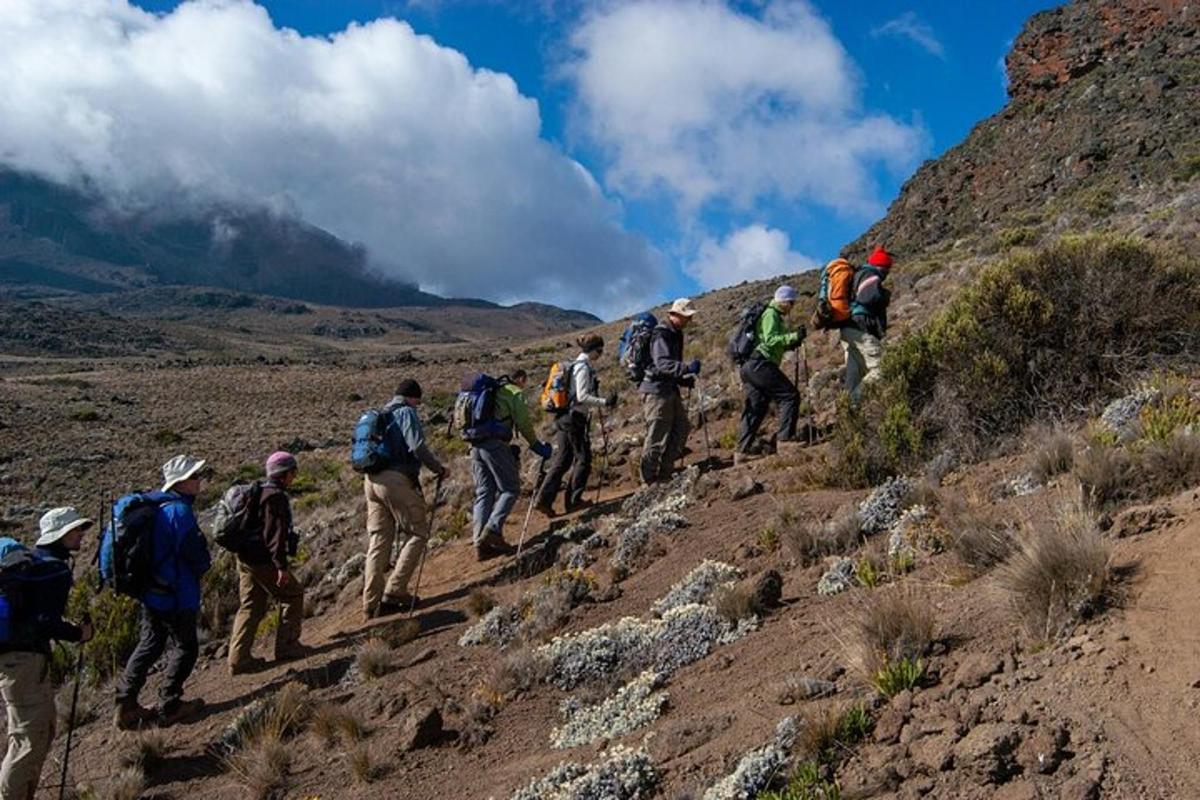 um grupo de pessoas caminhando em uma trilha na montanha