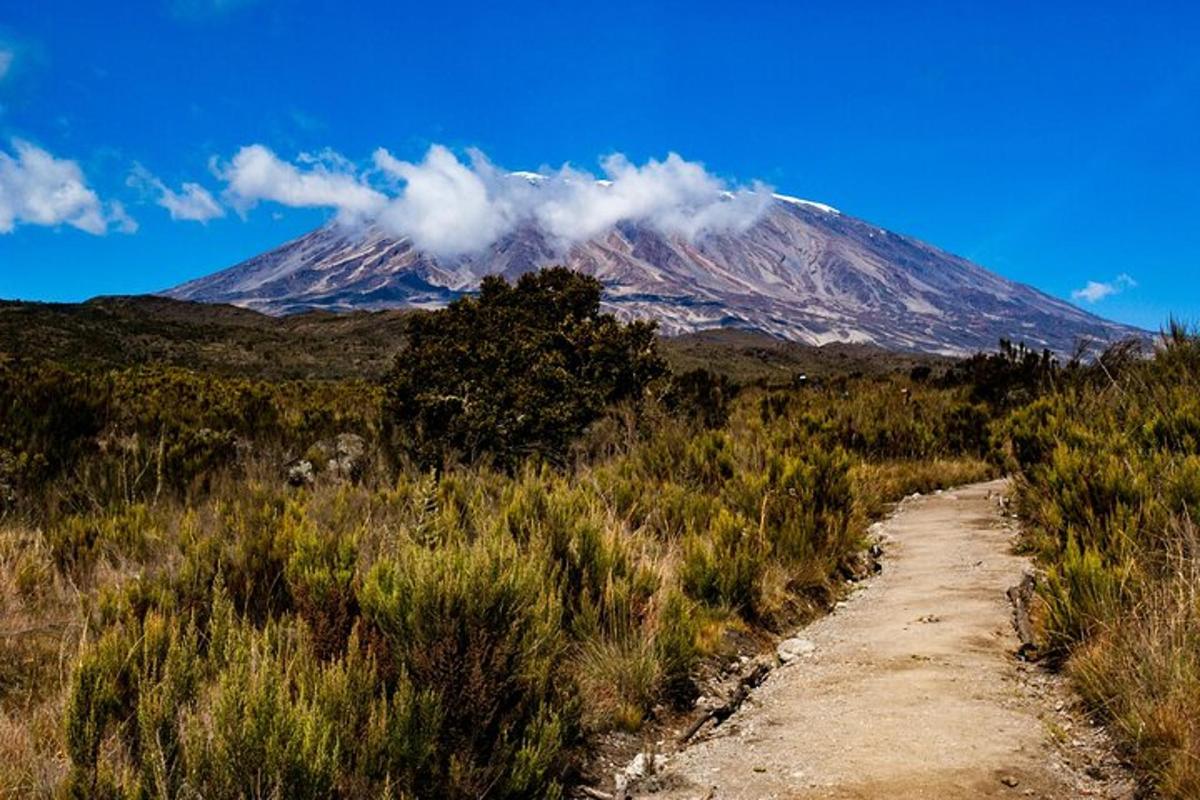 uma montanha ao longe com uma estrada de terra