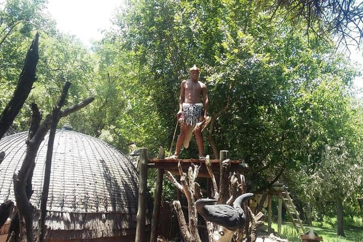 muž stojící na slonovi
