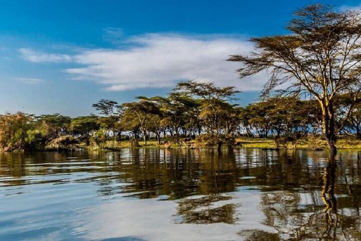 badan air dengan pokok di latar belakang