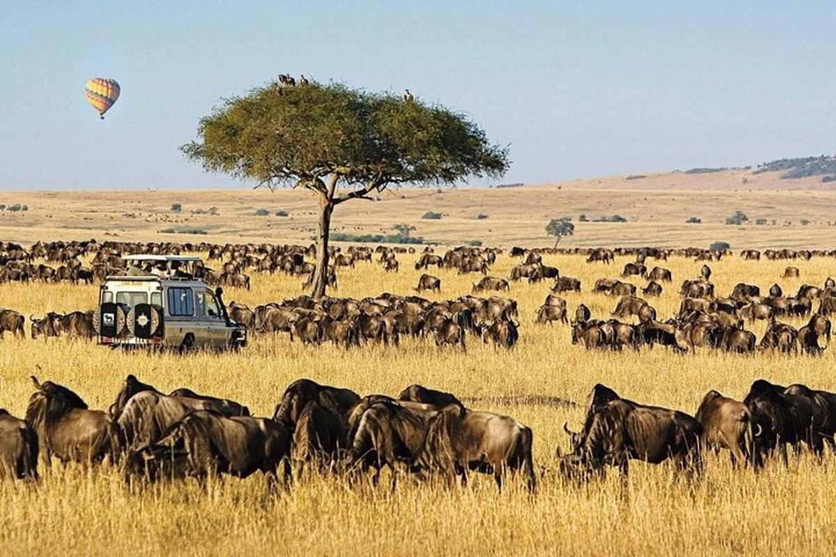 a herd of animals in a field with a hot air balloon