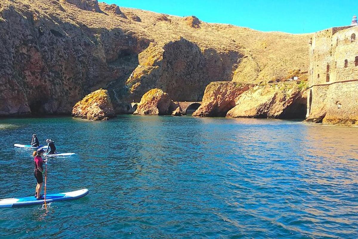 група људи на даскама за сурфовање у води
