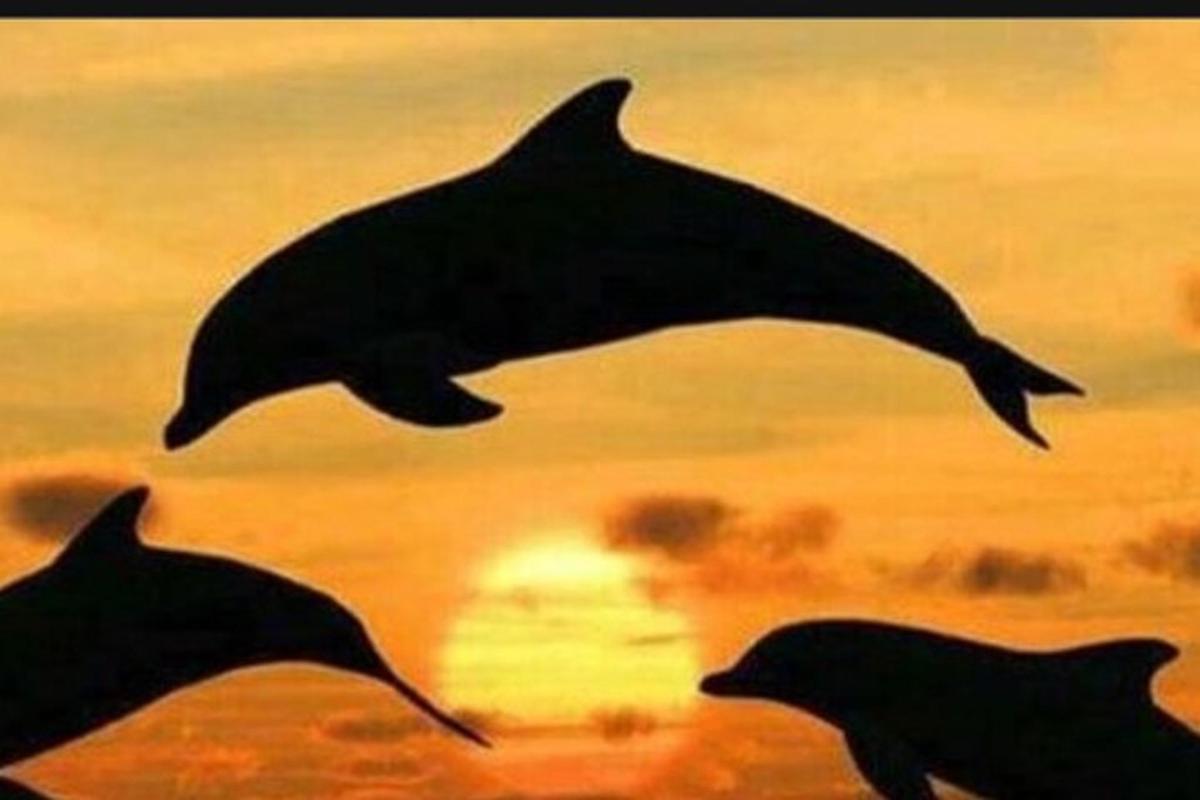 Una pintura de tres delfines saltando en el océano.