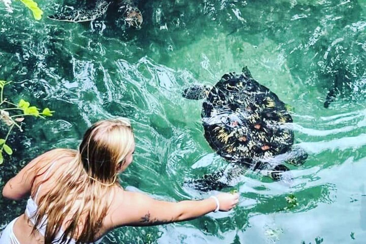 una bambina che gioca con una tartaruga nell'acqua