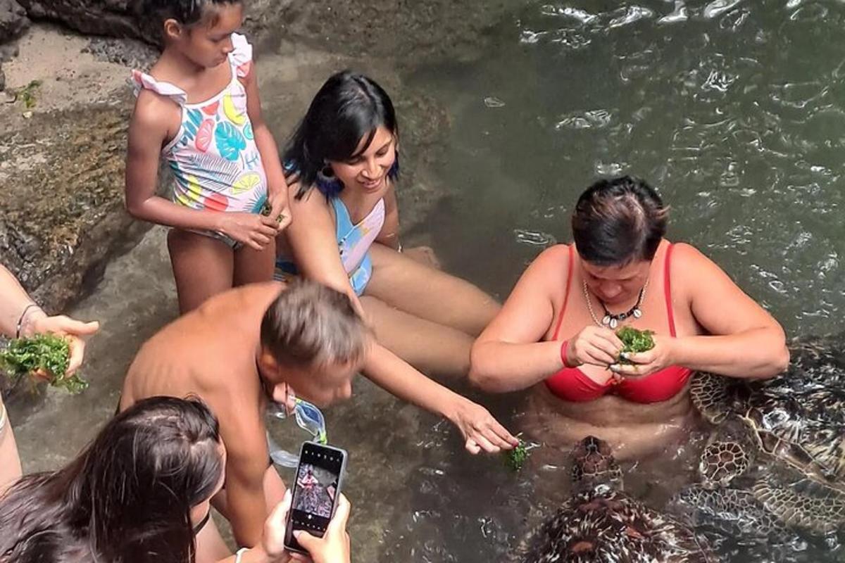 un grupo de personas nadando en el agua