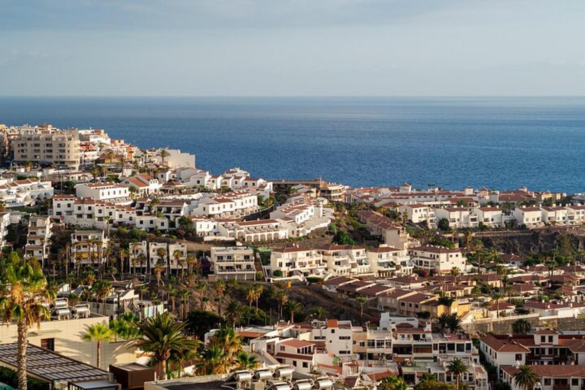 una vista aerea di una città con case e l'oceano