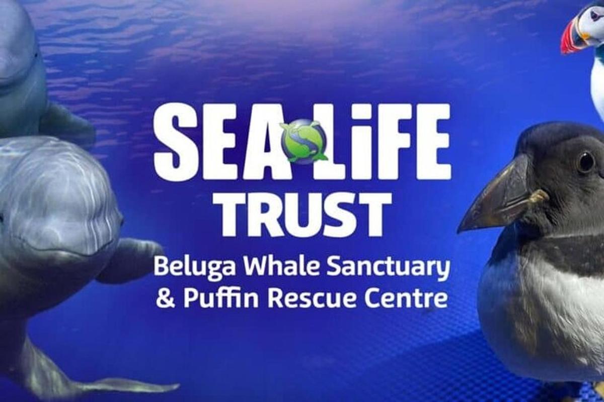 uno striscione del Sea Life Trust con un uccello e una tartaruga