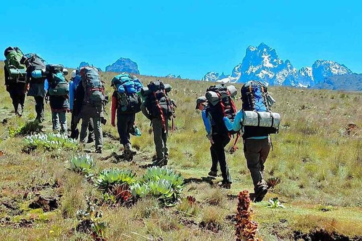 Μια ομάδα ανθρώπων με σακίδια πλάτης που περπατούν σε ένα βουνό