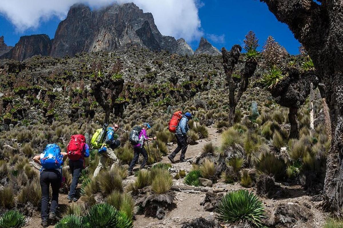 un gruppo di persone che camminano su un sentiero di montagna