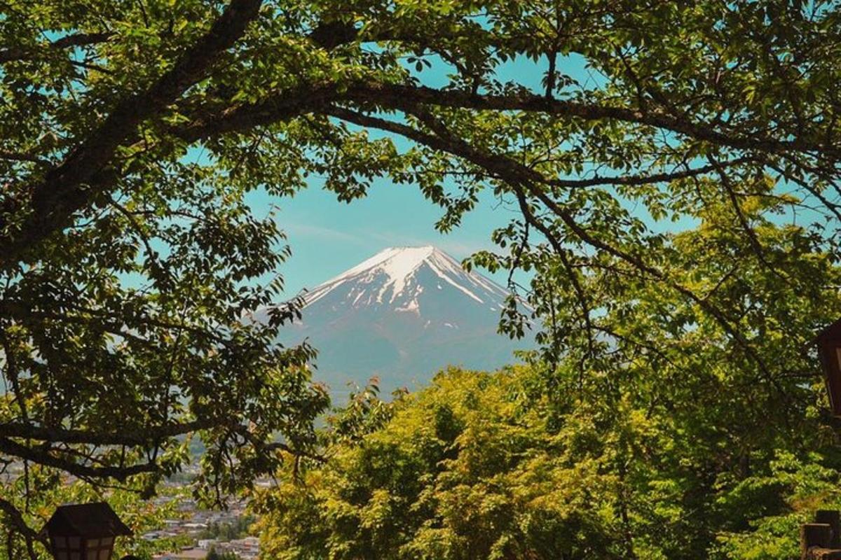 gunung yang dilitupi salji di kejauhan melalui pokok