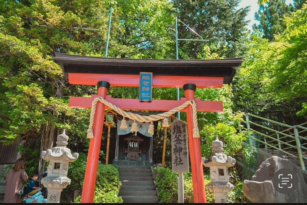 brána torii se svatyní v zahradě
