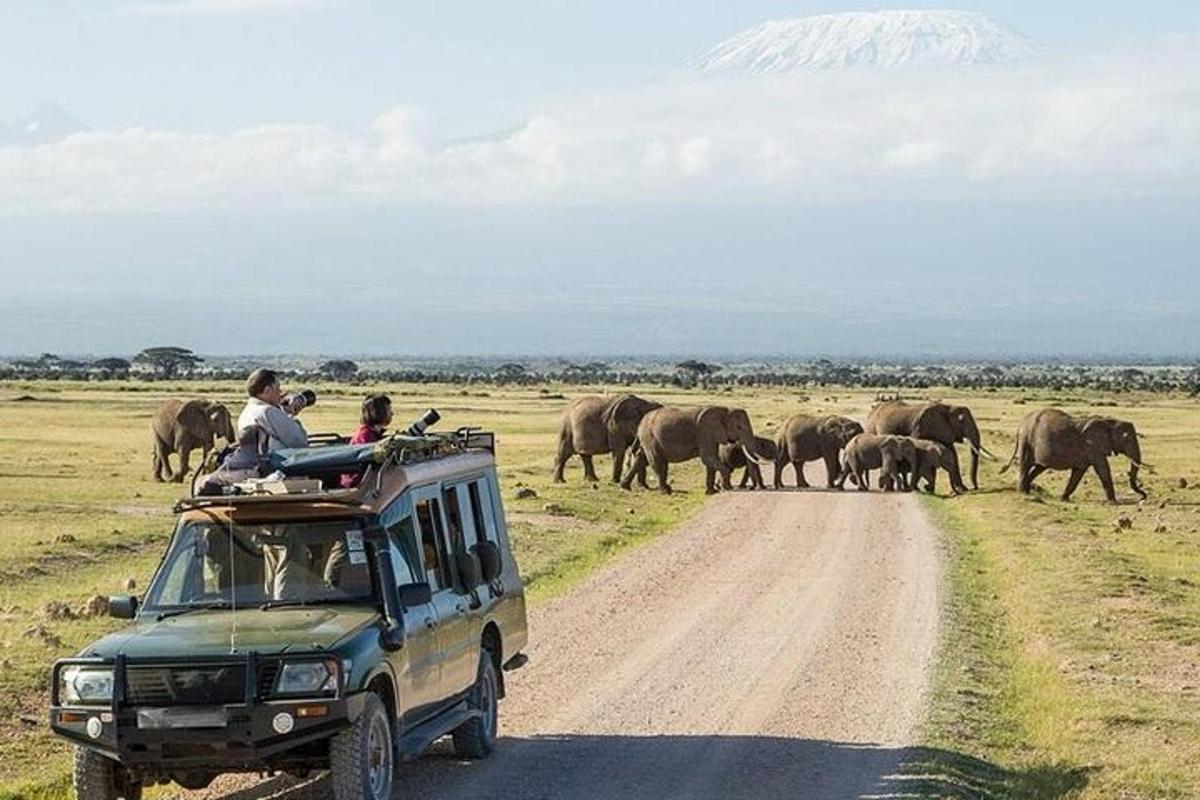 un ramat d'elefants creuant un camí de terra