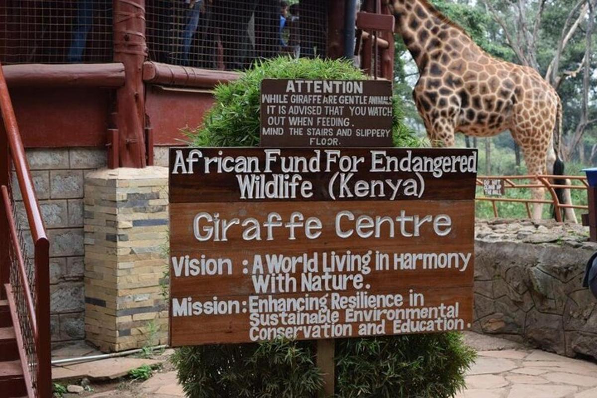 eine Giraffe steht neben einem Schild mit einer Giraffe