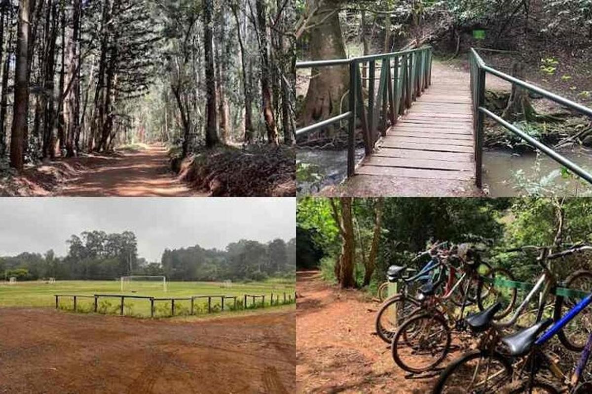 Un collage de fotos con bicicletas estacionadas en un puente.