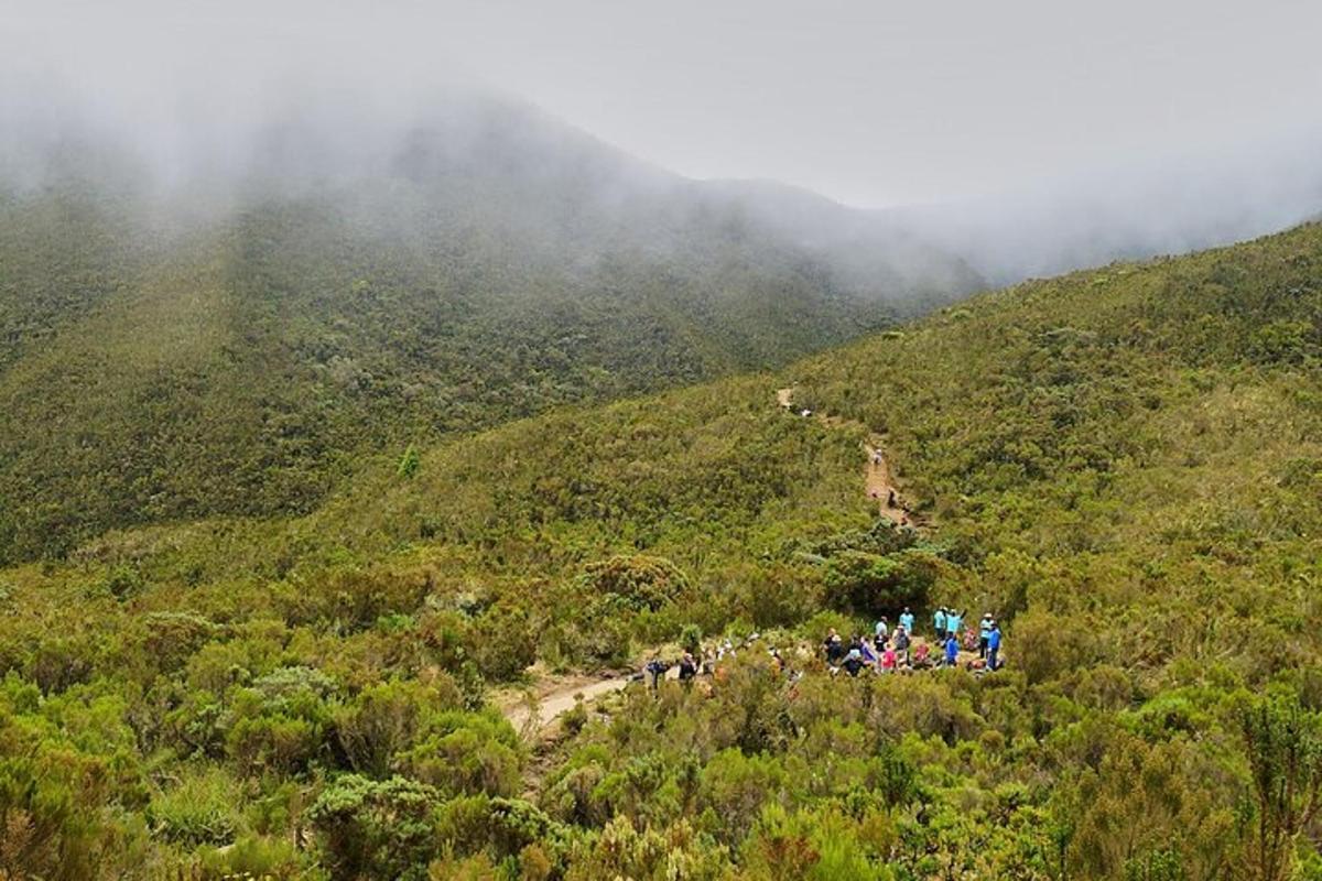 een groep mensen die over een onverhard pad op een berg lopen