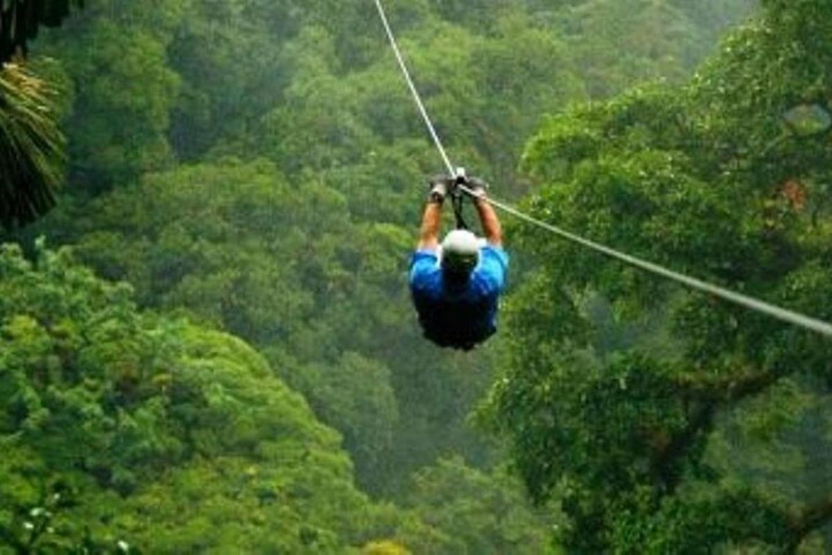 seorang lelaki berzip di dalam hutan