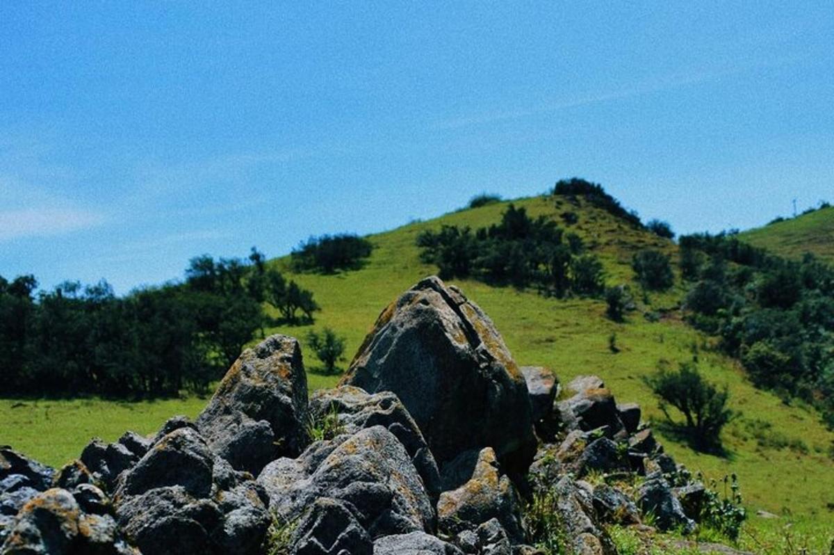 un munt de roques en un turó herbós