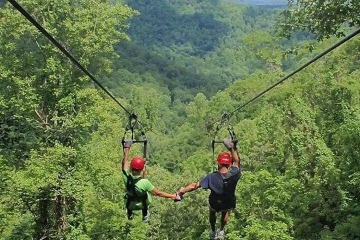 dua orang berzip di dalam hutan