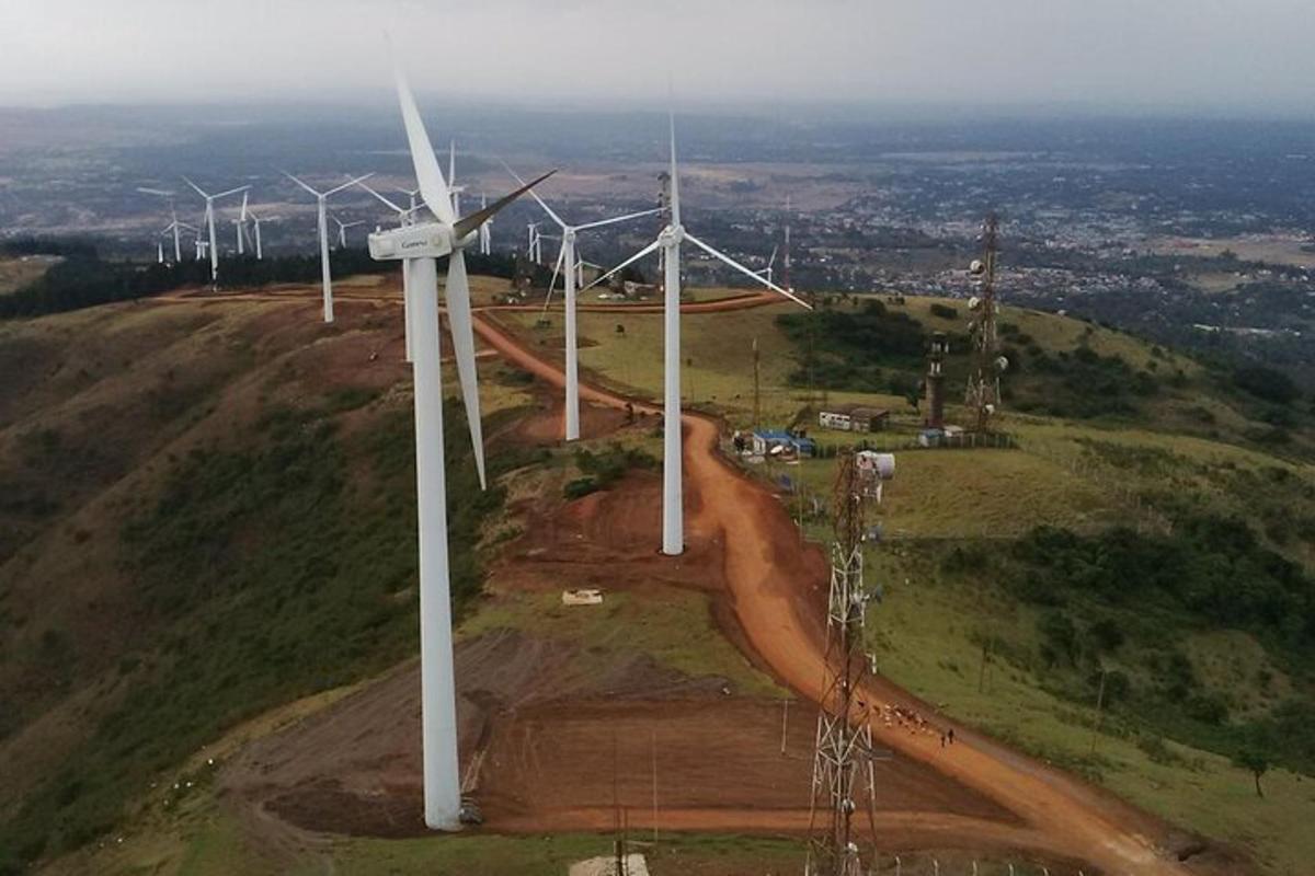 un grup d'aerogeneradors en un turó amb un camí de terra