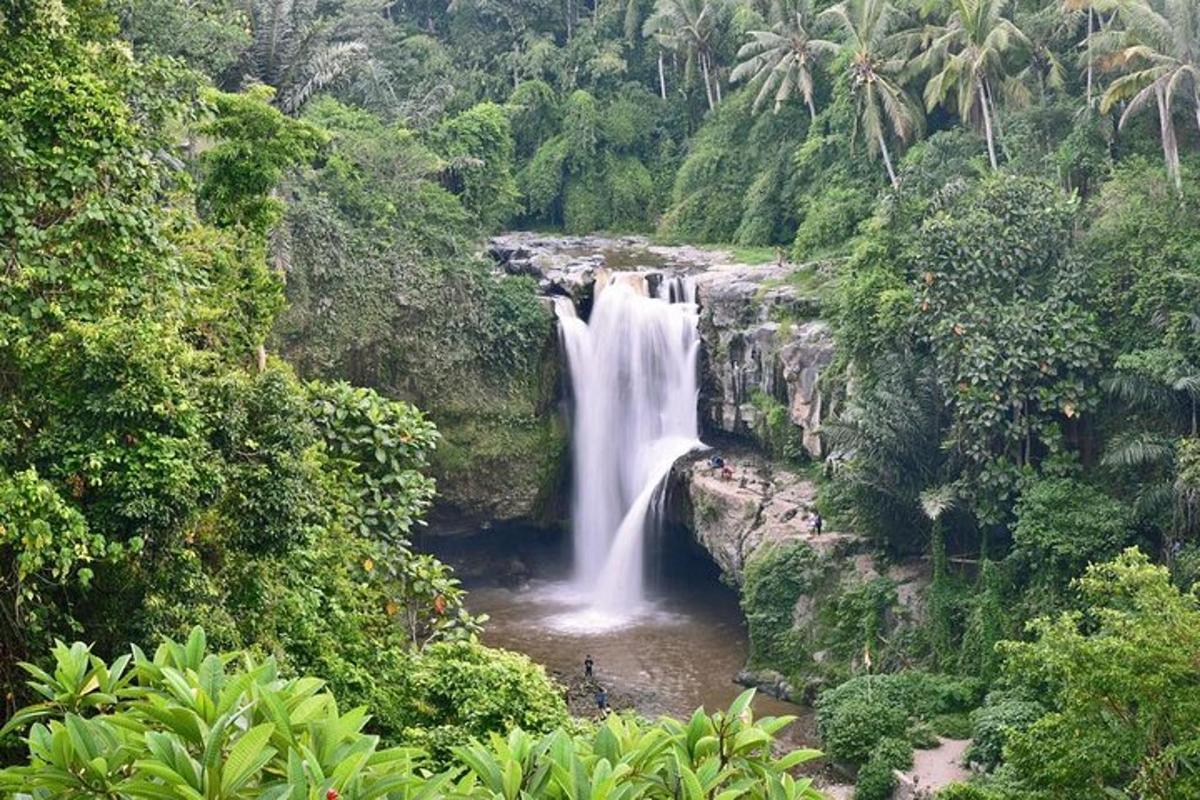 uma cachoeira no meio da selva