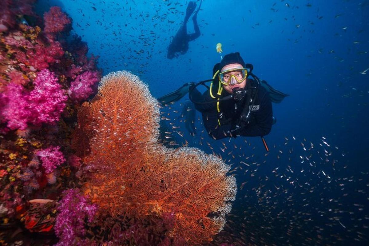 Un hombre con traje de buceo está bajo el agua junto a un arrecife.