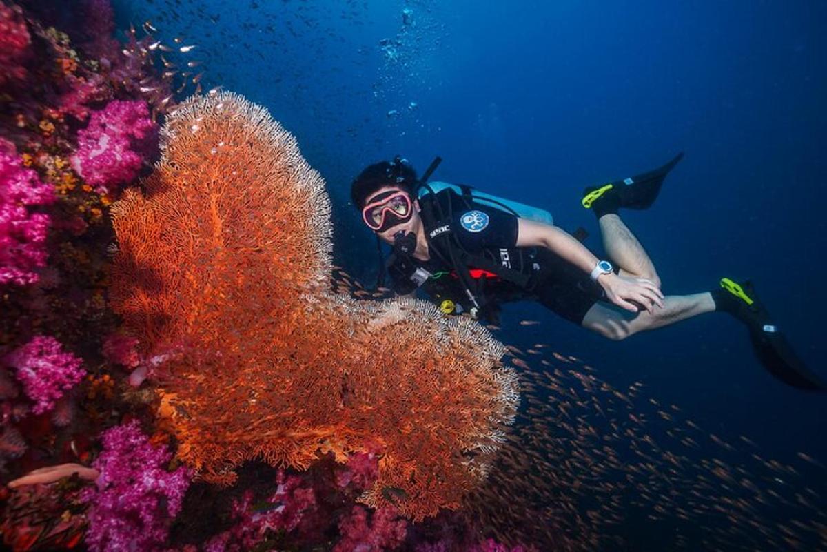 Un hombre está nadando junto a un arrecife de coral.