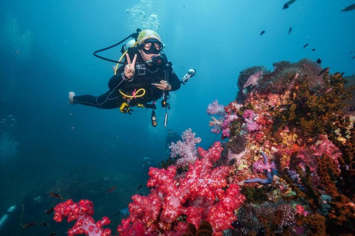Una persona está tomando una fotografía de un arrecife de coral.