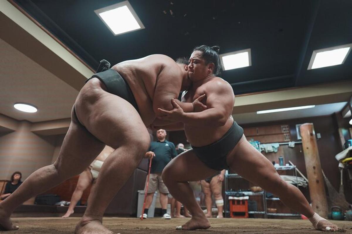 sepasang lelaki dalam gusti gimnasium