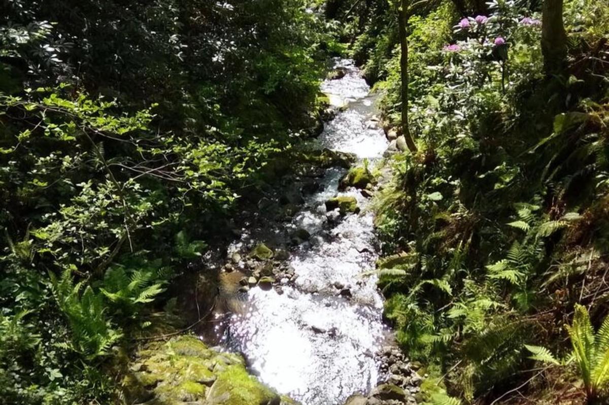 Fotografia da atração 7