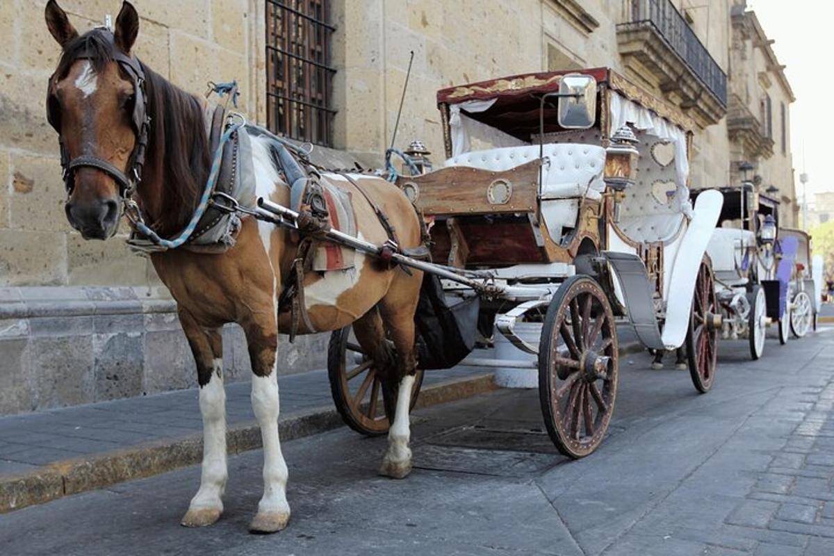un cal trăgând o trăsură pe o stradă a orașului