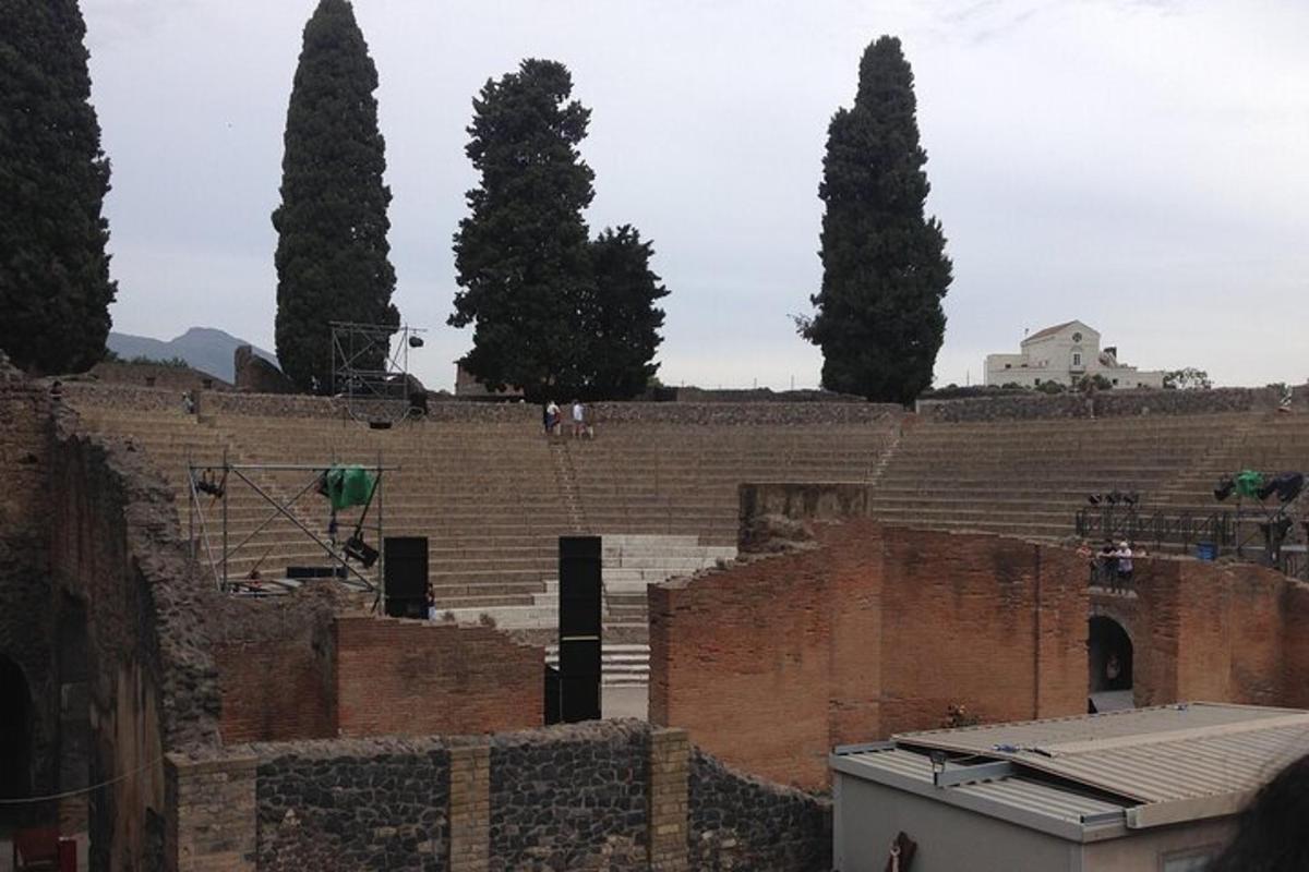 un gruppo di alberi di fronte a un muro di mattoni