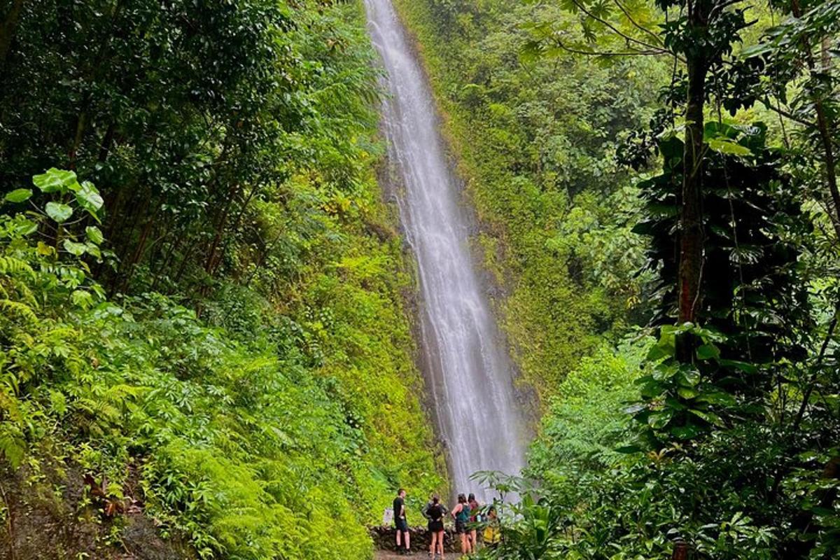 Un grupo de personas de pie frente a una cascada.