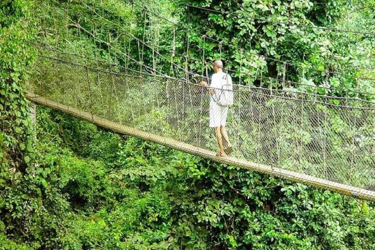 un bărbat pe un pod suspendat în pădure