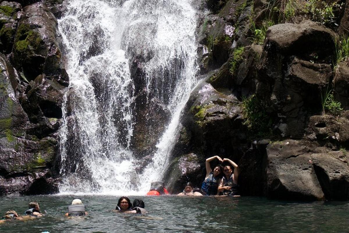 un grupo de personas nadando en una cascada