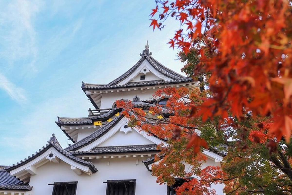 塔のある高い白い建物