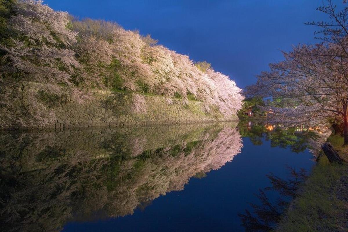 夜の川に映る木々の反射