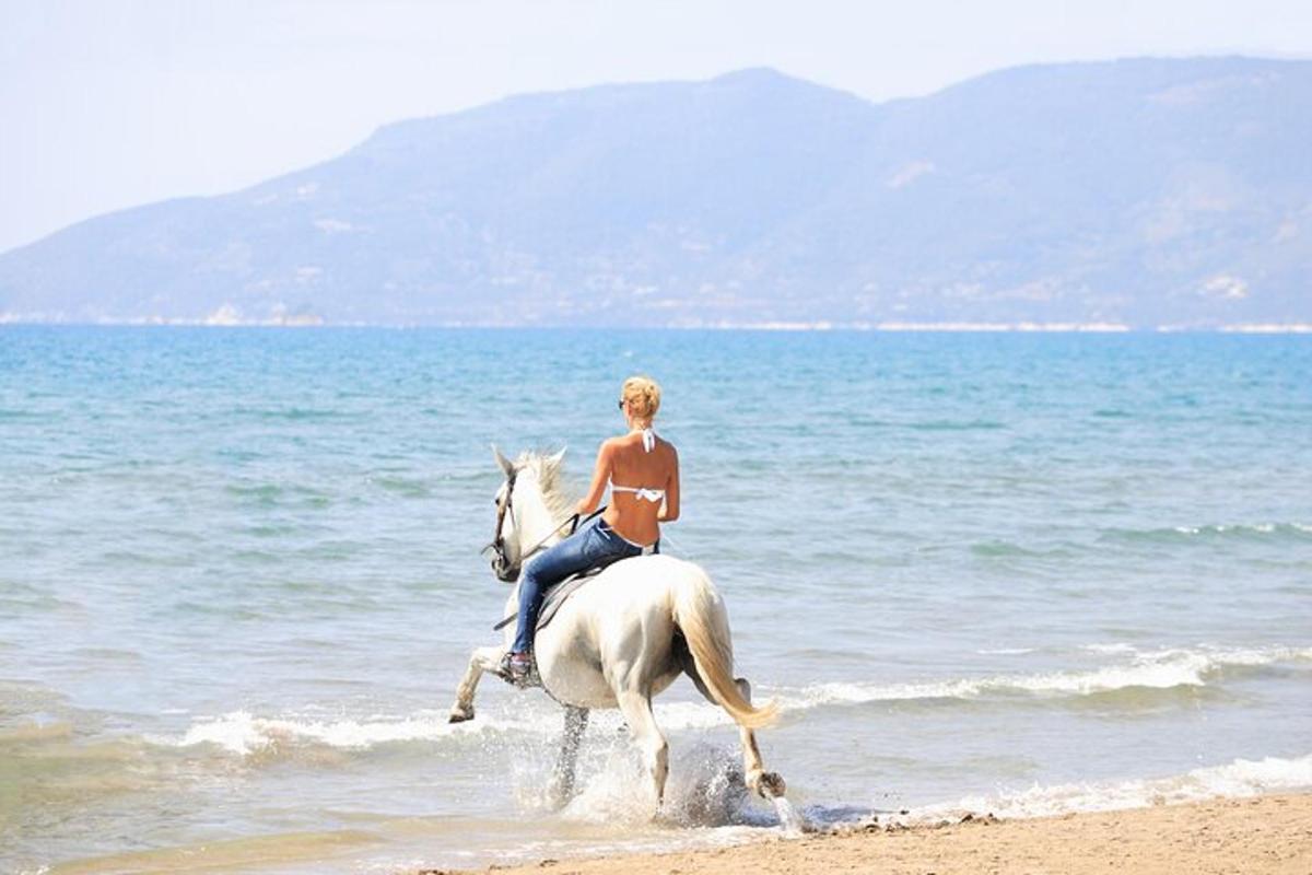 ženska, ki jaha konja na plaži