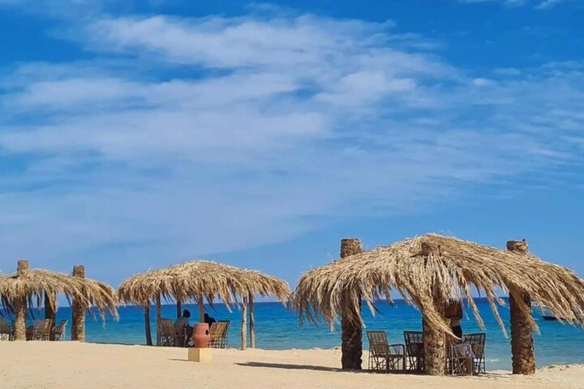 un grupo de sombrillas de paja en una playa