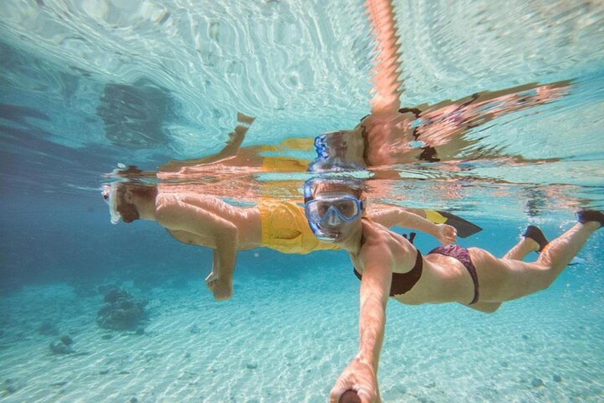two people are swimming in the water