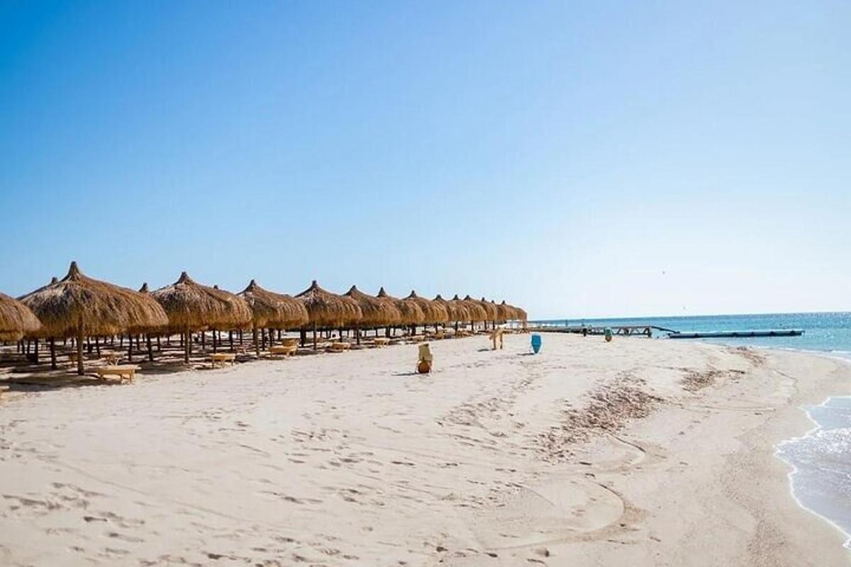 o plajă cu o grămadă de umbrele de paie și oceanul