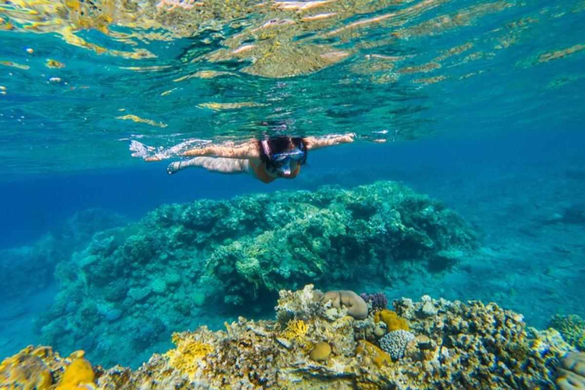 a person is swimming over a coral reef
