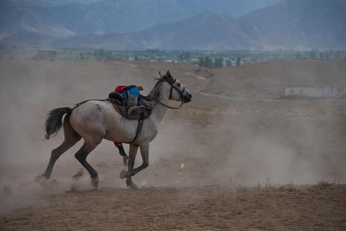 a person riding a horse in a field