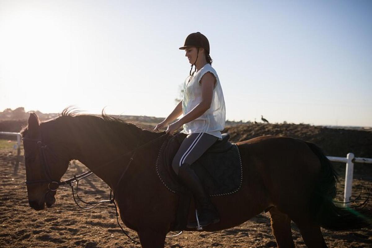 a woman sitting on a horse in a field
