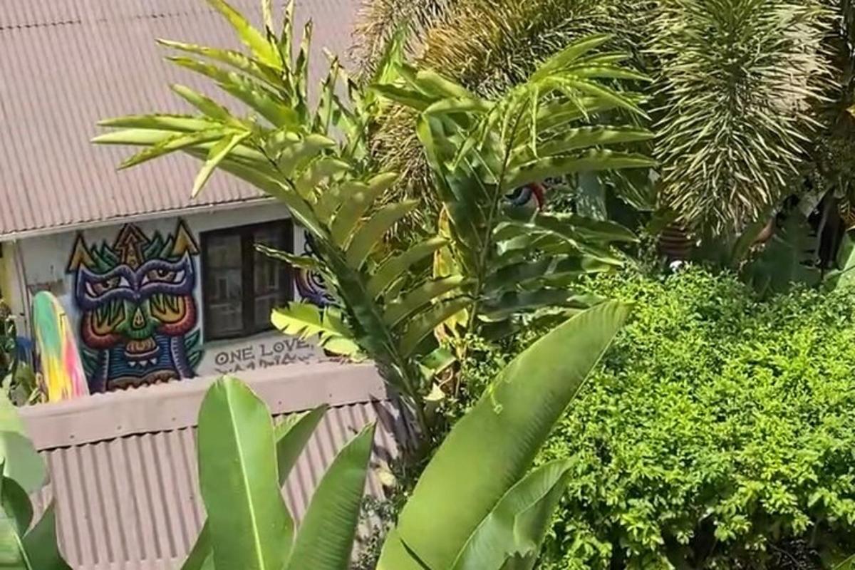 Un edificio con un montón de plantas delante.