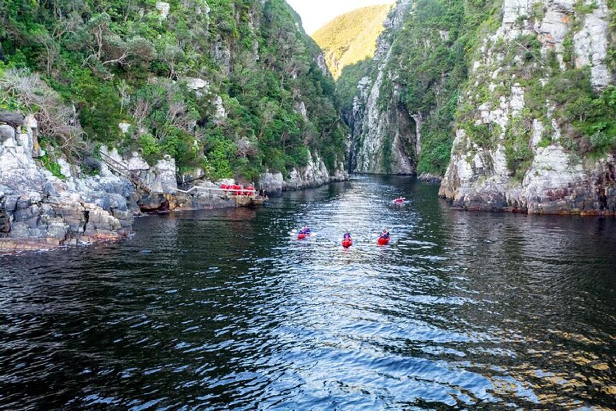 eine Gruppe von Menschen, die in einem Fluss in einer Schlucht schwimmen