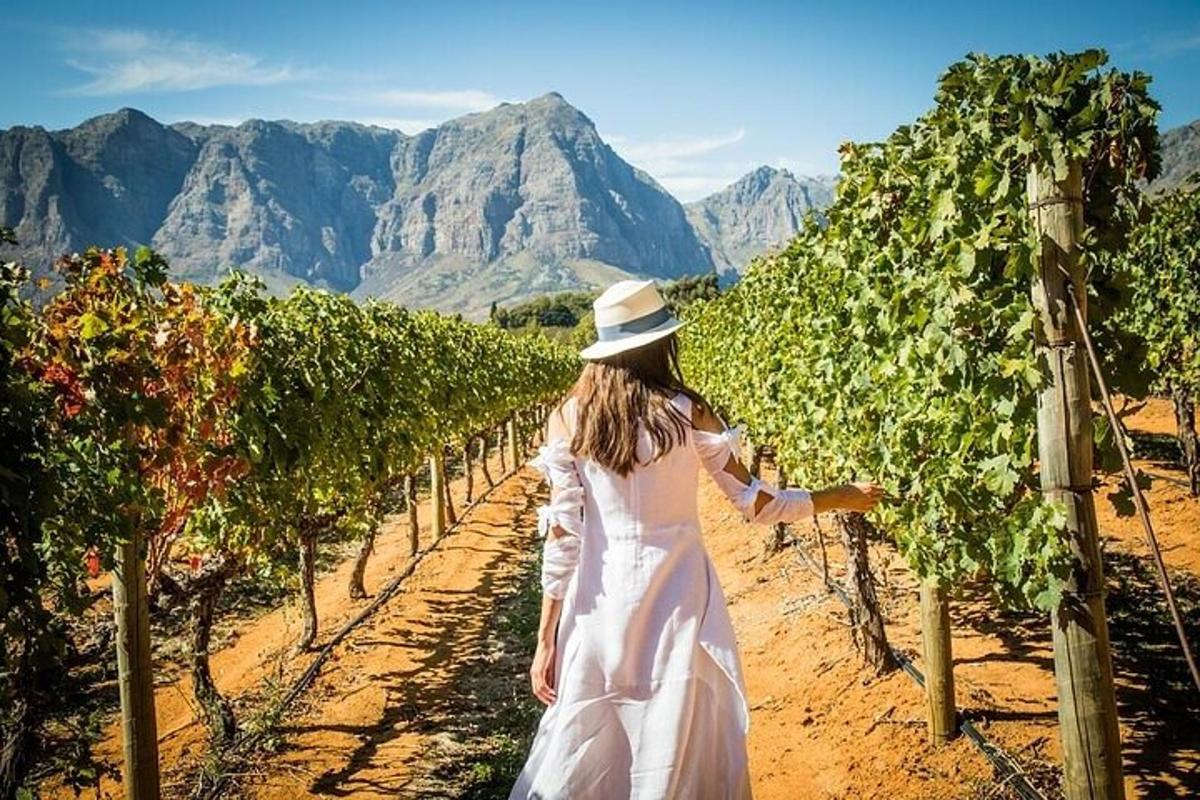 žena v bílých šatech procházející se vinicí