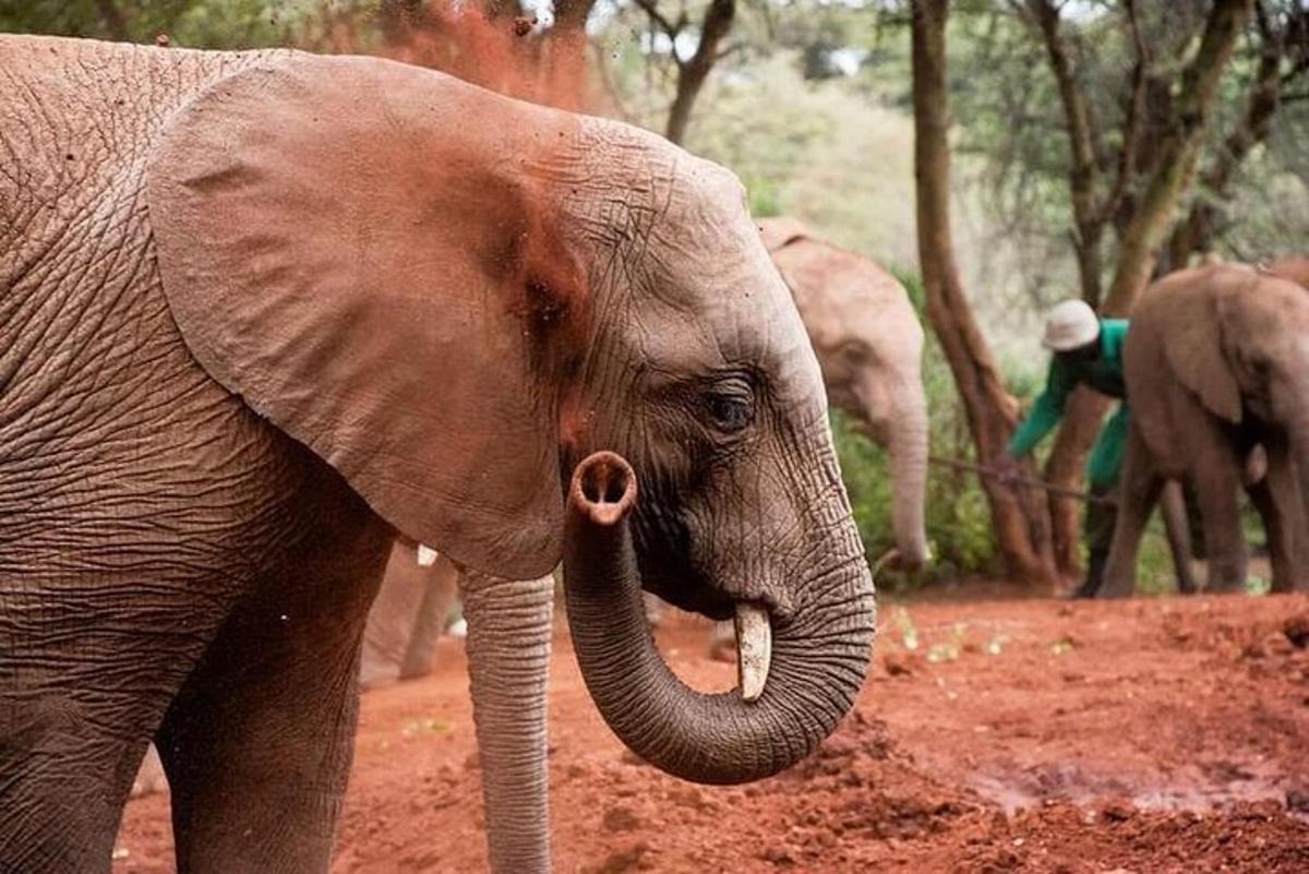 ภาพถ่ายสิ่งที่น่าสนใจภาพที่ 2