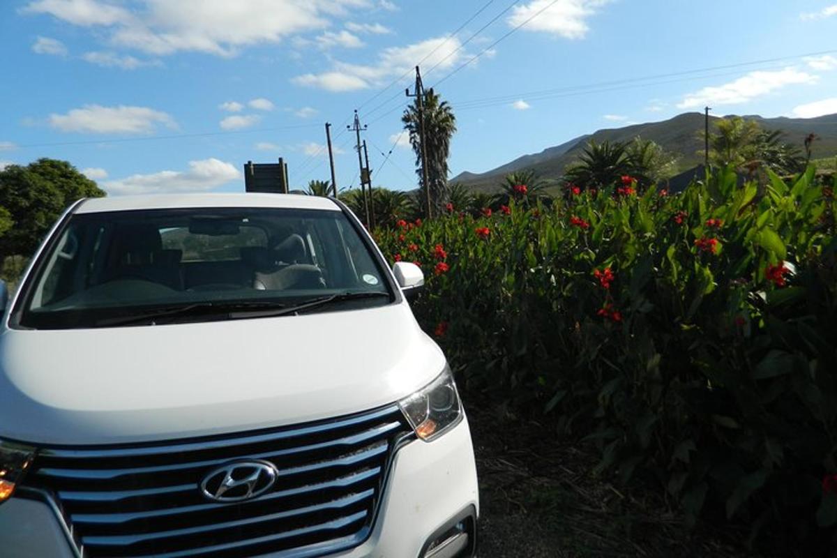 a white car parked next to a field of flowers